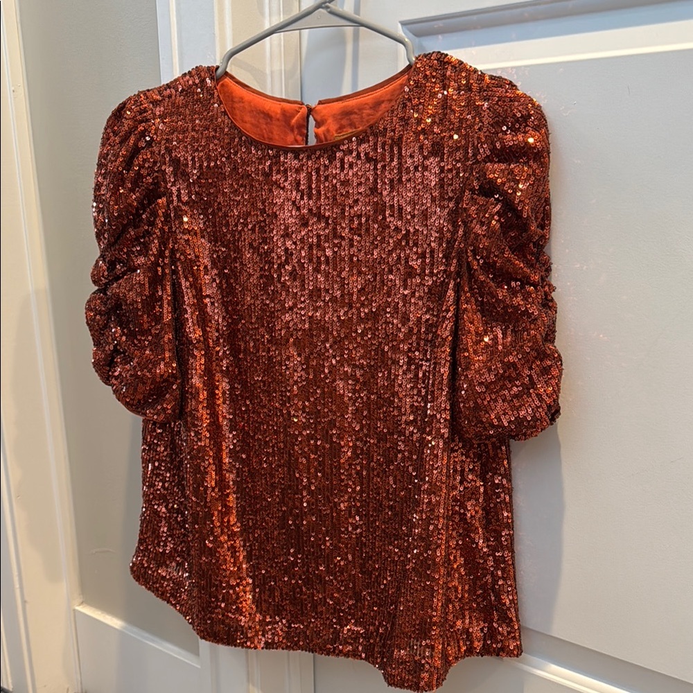Anthropologie Sequin Puff Sleeve Top